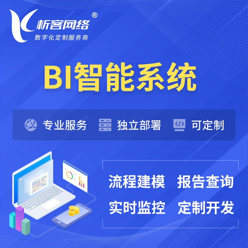台州BI智能系统 | BI数据可视化