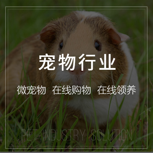 台州ERP进销存系统优化企业供应链管理